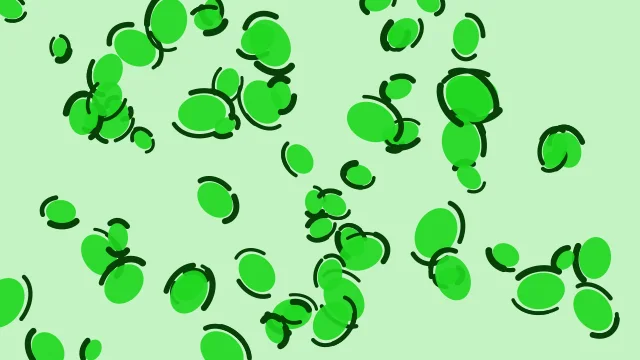 Green 400 leopard desktop wallpaper — free 4K green 400 wallpaper 3840x2160