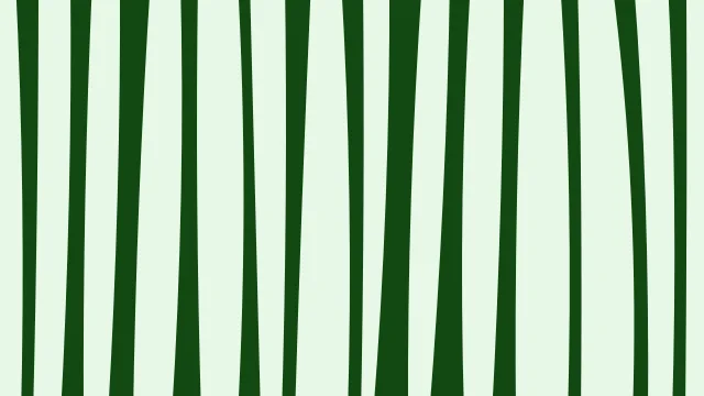 Green 400 zebra desktop wallpaper — free 4K green 400 wallpaper 3840x2160