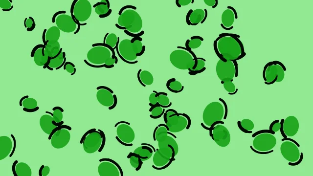 Green 500 leopard desktop wallpaper — free 4K green 500 wallpaper 3840x2160