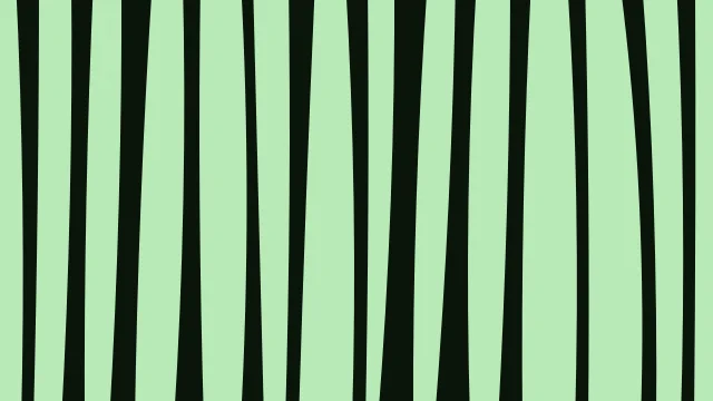 Green 500 zebra desktop wallpaper — free 4K green 500 wallpaper 3840x2160
