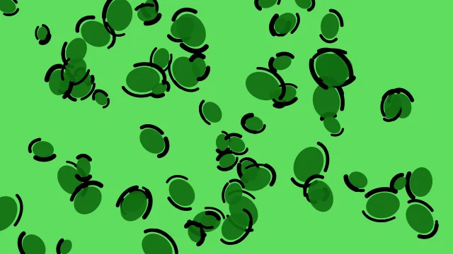 Green 600 leopard desktop wallpaper — free 4K green 600 wallpaper 3840x2160