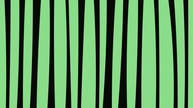 Green 600 zebra desktop wallpaper — free 4K green 600 wallpaper 3840x2160