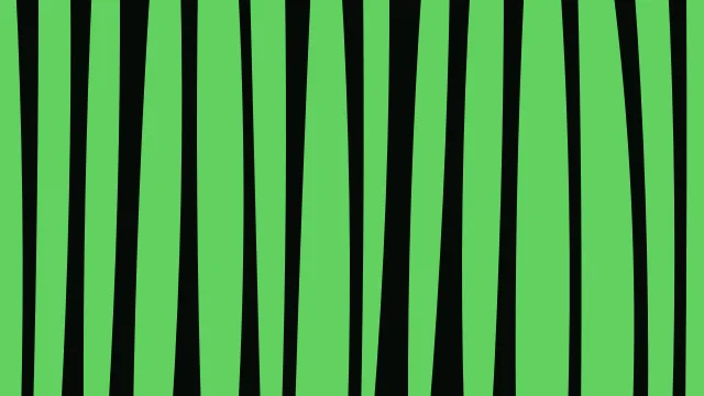 Green 700 zebra desktop wallpaper — free 4K green 700 wallpaper 3840x2160