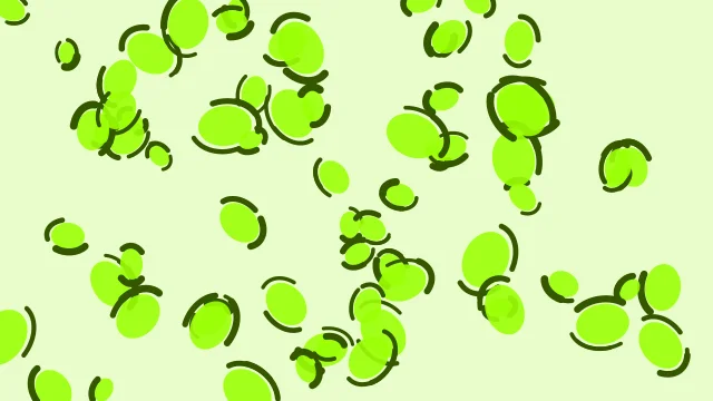 Green Yellow leopard desktop wallpaper — free 4K green yellow wallpaper 3840x2160
