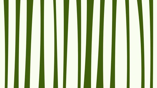 Green Yellow zebra desktop wallpaper — free 4K green yellow wallpaper 3840x2160