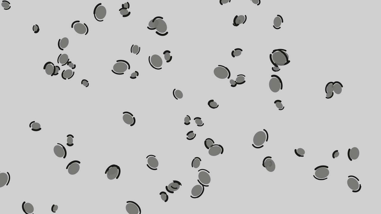 Grey Olive leopard print background — free HD grey olive color wallpaper 1920x1080