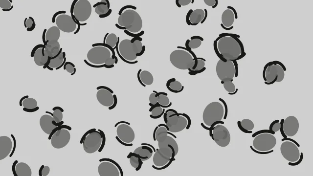 Grey Olive leopard print background — free HD grey olive color wallpaper 1920x1080