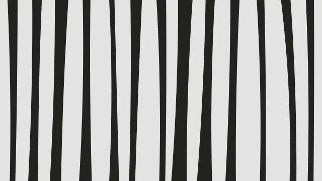 Grey Olive zebra print background — free HD grey olive color wallpaper 1920x1080