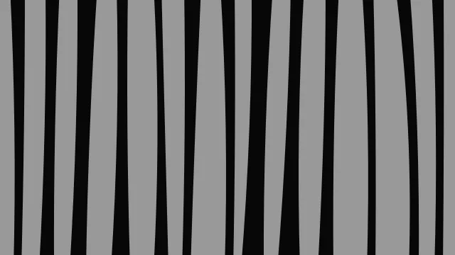 Gunmetal zebra print background — free HD gunmetal color wallpaper 1920x1080