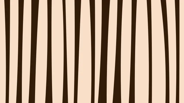 Harvest Orange zebra print background — free HD harvest orange color wallpaper 1920x1080
