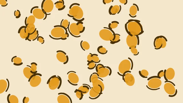 Honey Bronze leopard print background — free HD honey bronze color wallpaper 1920x1080