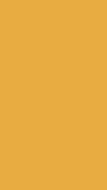 Honey Bronze solid phone wallpaper — free HD honey bronze mobile wallpaper 1080x1920