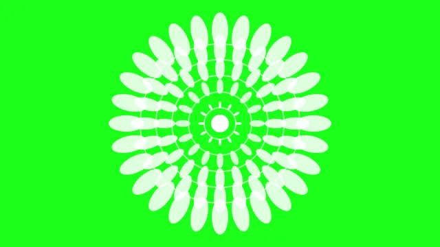 Honey Dew mandala background — free HD honey dew color wallpaper 1920x1080