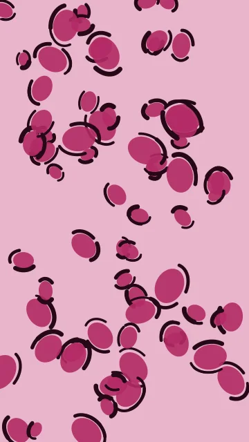 Hot Berry leopard phone wallpaper — free HD hot berry mobile wallpaper 1080x1920
