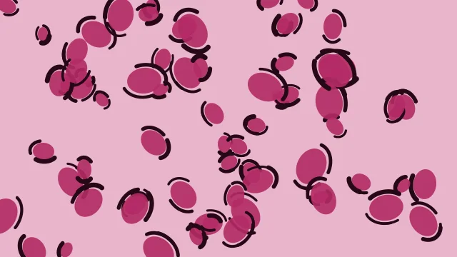 Hot Berry leopard print background — free HD hot berry color wallpaper 1920x1080