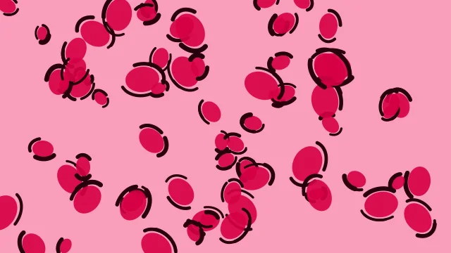 Hot Fuchsia leopard print background — free HD hot fuchsia color wallpaper 1920x1080