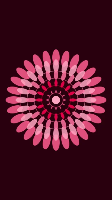 Hot Fuchsia mandala phone wallpaper — free HD hot fuchsia mobile wallpaper 1080x1920
