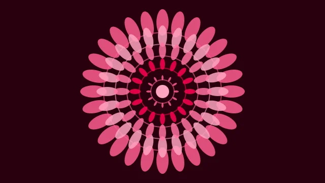 Hot Fuchsia mandala background — free HD hot fuchsia color wallpaper 1920x1080