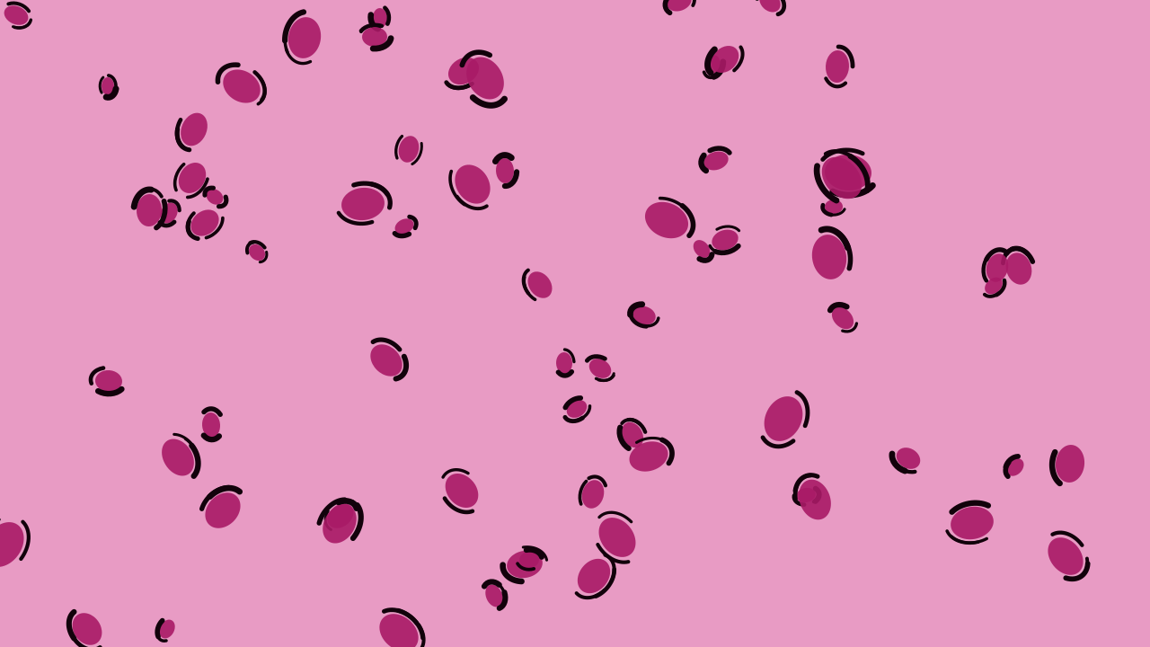 Hot Rose leopard print background — free HD hot rose color wallpaper 1920x1080