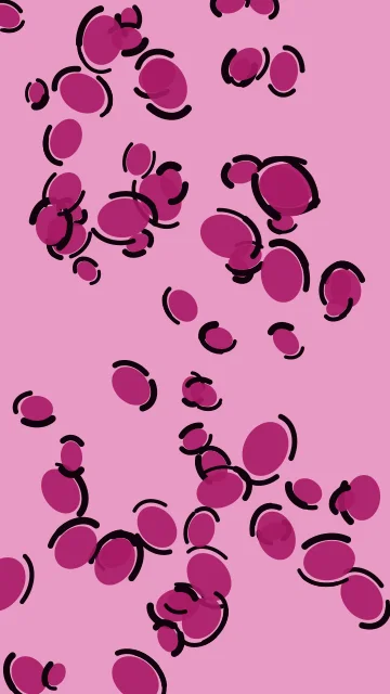 Hot Rose leopard phone wallpaper — free HD hot rose mobile wallpaper 1080x1920