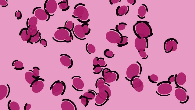 Hot Rose leopard print background — free HD hot rose color wallpaper 1920x1080