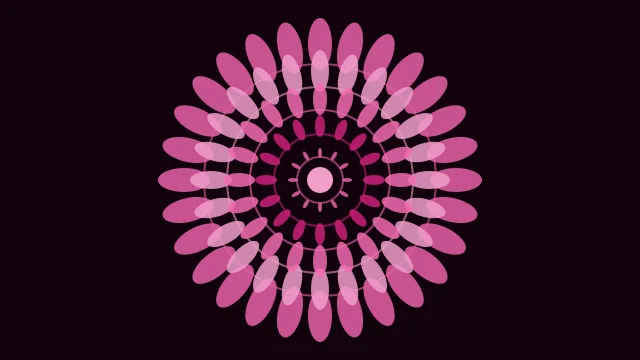 Hot Rose mandala background — free HD hot rose color wallpaper 1920x1080