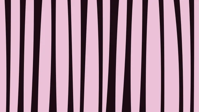 Hot Rose zebra print background — free HD hot rose color wallpaper 1920x1080