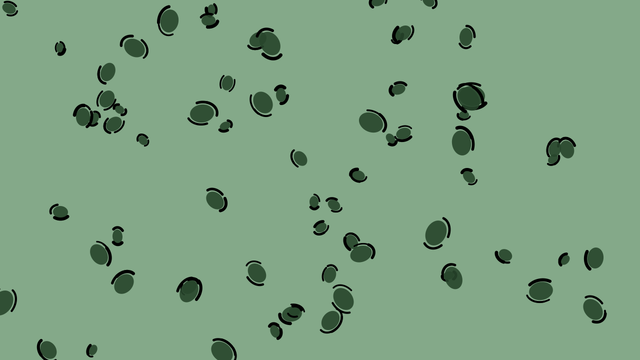 Hunter Green leopard print background — free HD hunter green color wallpaper 1920x1080