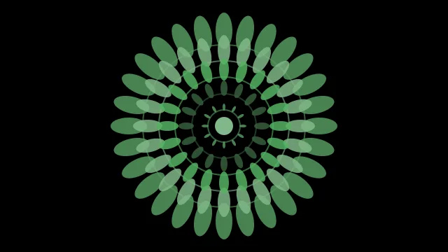 Hunter Green mandala background — free HD hunter green color wallpaper 1920x1080