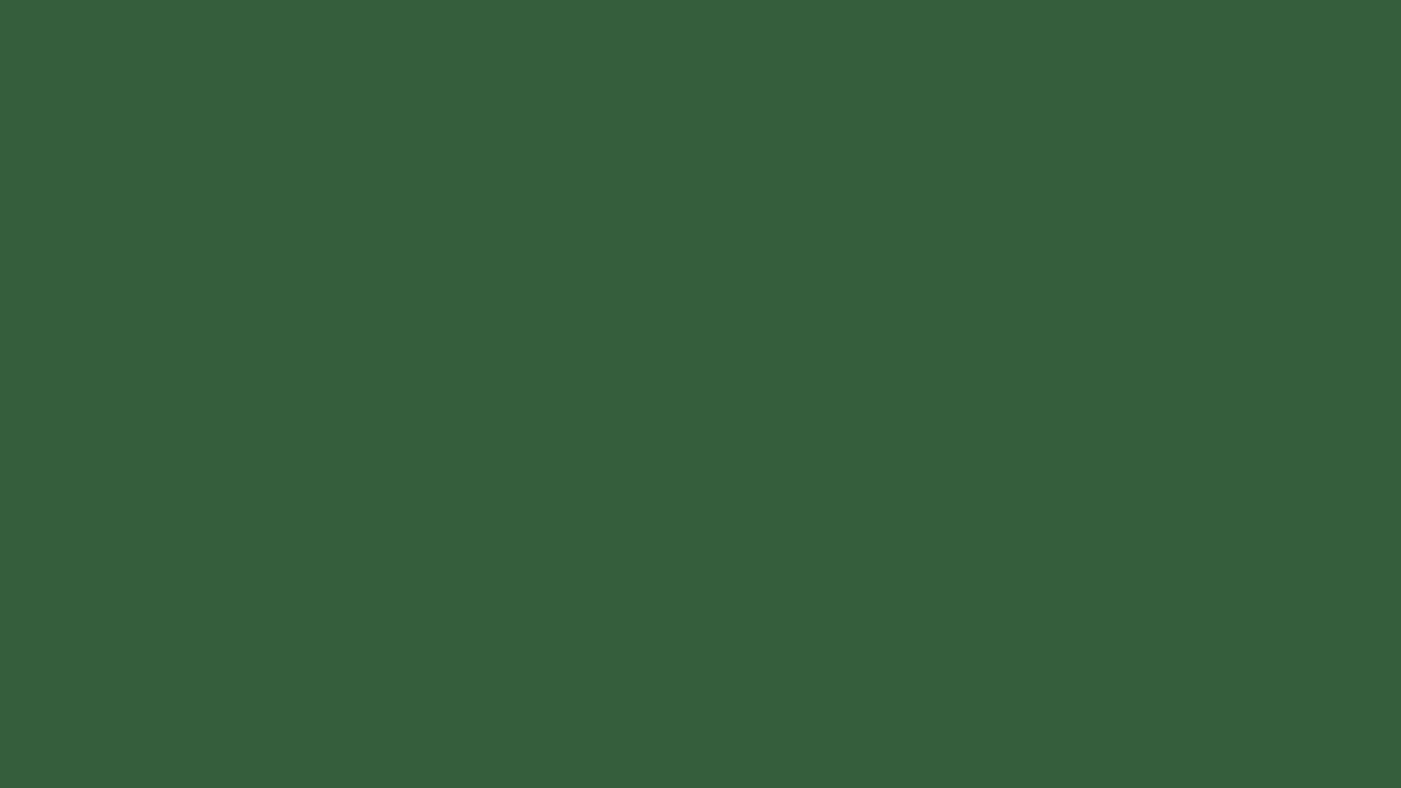 Hunter Green plain solid background — free HD hunter green color wallpaper 1920x1080