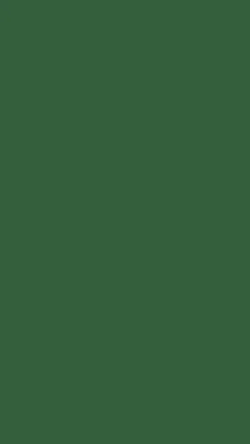 Hunter Green solid phone wallpaper — free HD hunter green mobile wallpaper 1080x1920