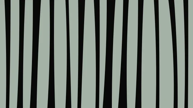 Hunter Green zebra print background — free HD hunter green color wallpaper 1920x1080