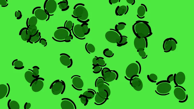 India Green leopard desktop wallpaper — free 4K india green wallpaper 3840x2160