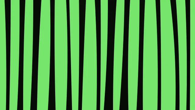 India Green zebra desktop wallpaper — free 4K india green wallpaper 3840x2160