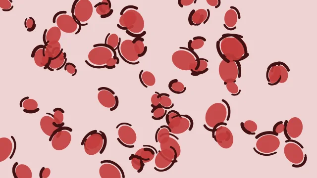 Indian Red leopard desktop wallpaper — free 4K indian red wallpaper 3840x2160