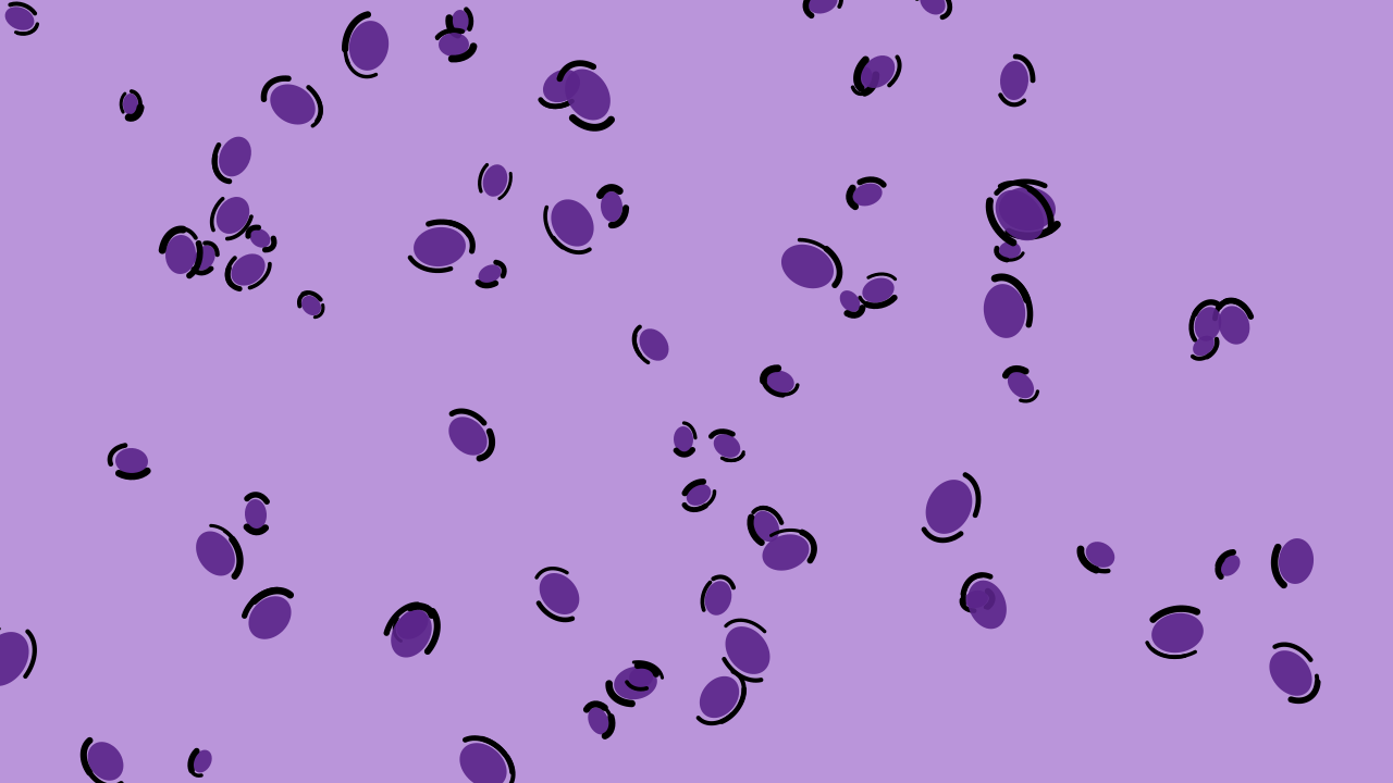 Indigo Bloom leopard print background — free HD indigo bloom color wallpaper 1920x1080