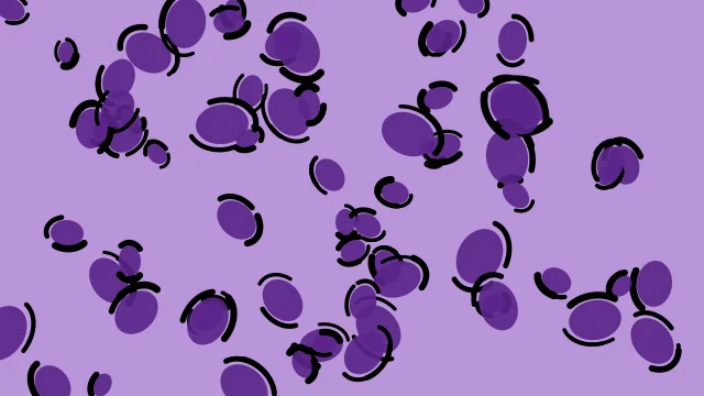 Indigo Bloom leopard print background — free HD indigo bloom color wallpaper 1920x1080