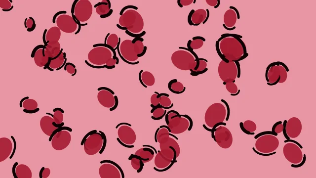 Intense Cherry leopard print background — free HD intense cherry color wallpaper 1920x1080
