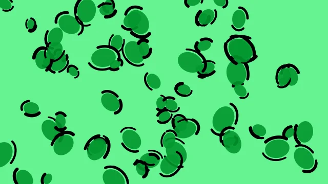 Jade Green leopard print background — free HD jade green color wallpaper 1920x1080