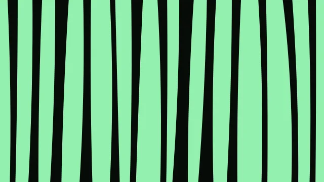 Jade Green zebra print background — free HD jade green color wallpaper 1920x1080