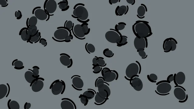 Jet Black leopard print background — free HD jet black color wallpaper 1920x1080