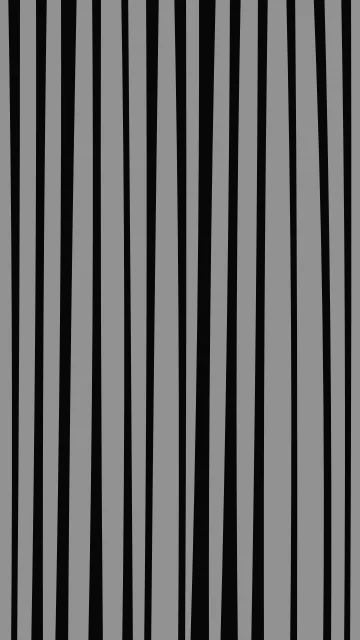 Jet Black zebra phone wallpaper — free HD jet black mobile wallpaper 1080x1920
