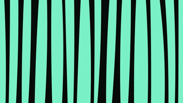 Jungle Green zebra desktop wallpaper — free 4K jungle green wallpaper 3840x2160