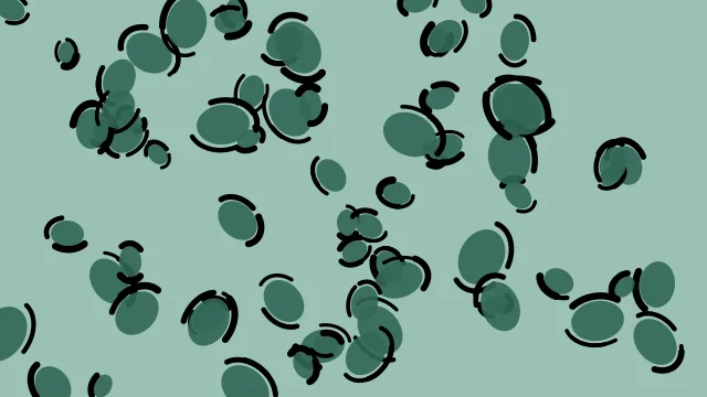 Jungle Teal leopard desktop wallpaper — free 4K jungle teal wallpaper 3840x2160