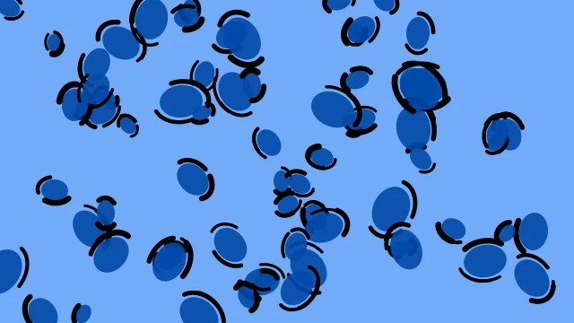 Laser Blue leopard print background — free HD laser blue color wallpaper 1920x1080