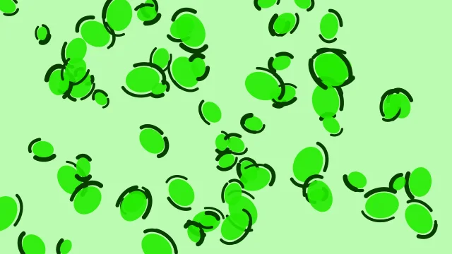 Laser Green leopard desktop wallpaper — free 4K laser green wallpaper 3840x2160