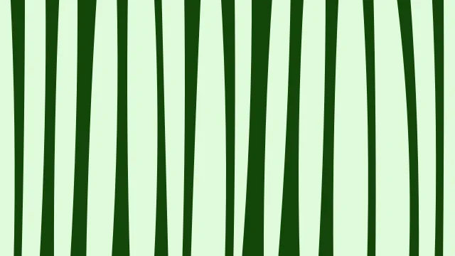 Laser Green zebra desktop wallpaper — free 4K laser green wallpaper 3840x2160