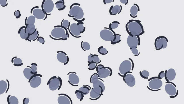 Lavender Grey leopard print background — free HD lavender grey color wallpaper 1920x1080