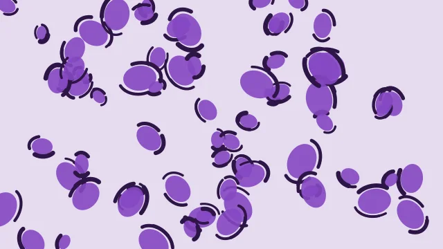 Lavender Purple leopard desktop wallpaper — free 4K lavender purple wallpaper 3840x2160