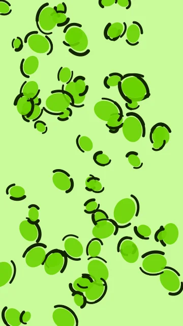 Lawn Green leopard phone wallpaper — free HD lawn green mobile wallpaper 1080x1920